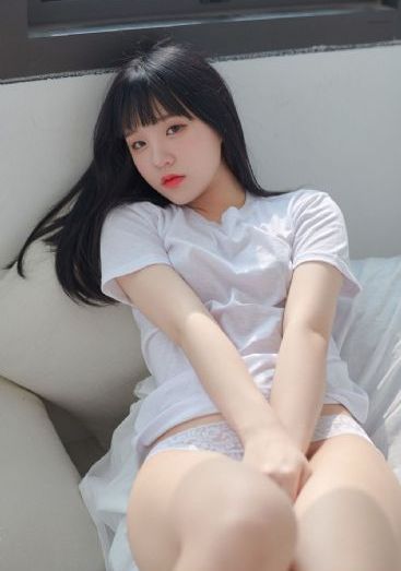 炼金术士重启人生动漫_BD英语完整版观看